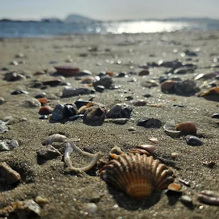 Gliu Vico 3* Zinnowitz